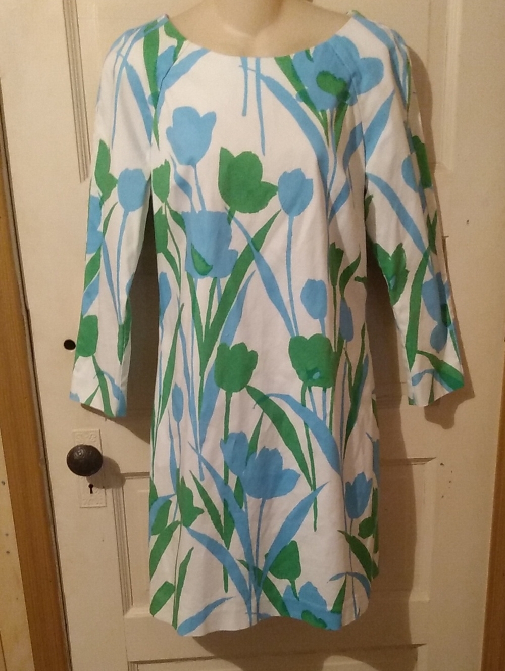 Elizabeth McKay Tulip Maximalist Cotton Fully Lined Dress